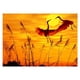 thumbnail image 1 of Taladro Pintura Diamante (DE0029) 5D DIY Sunset Crane Kit de bordado de punto de cruz completo 20X30cm FLhrweasw Nuevo, 1 of 1