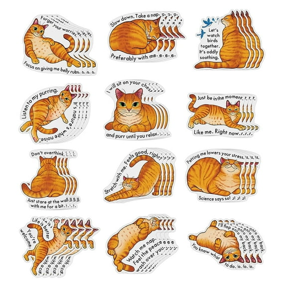 WIRESTER 48 Pcs Anxiety Sensory Stickers, Adhesive Calm Strips Textured Fidget Stickers for School & Office Supplies - Orange Tabby Cat Funny Playful Postures