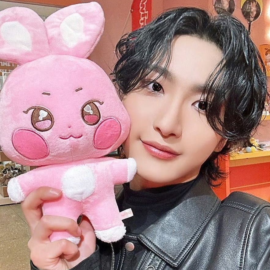 ATEEZ ANITEEZ DDEONGbyeoli ぬいぐるみ ソンファ ATEEZ ANITEEZ Pop Up Plush Doll DDEONGbyeoli Cartoon Collection