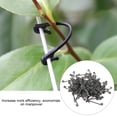 thumbnail image 4 of Plant Clip, 6.5cm Vegetable Clip, 100Pcs For Tomato Vegetables, 4 of 8
