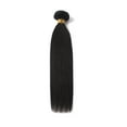 thumbnail image 1 of LELINTA 12"-20" Silky Straight Jet Black 1 Bundle Bulk Human Hair Extensions 50g, 1 of 5