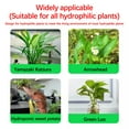 thumbnail image 6 of Aquarium Maintenance Supplies,Strolling Fish Tank Hydroponic Sweet Potato with Suction Cup,Aquatic Plant Decoration for Desktop Fish Tank, 6 of 9