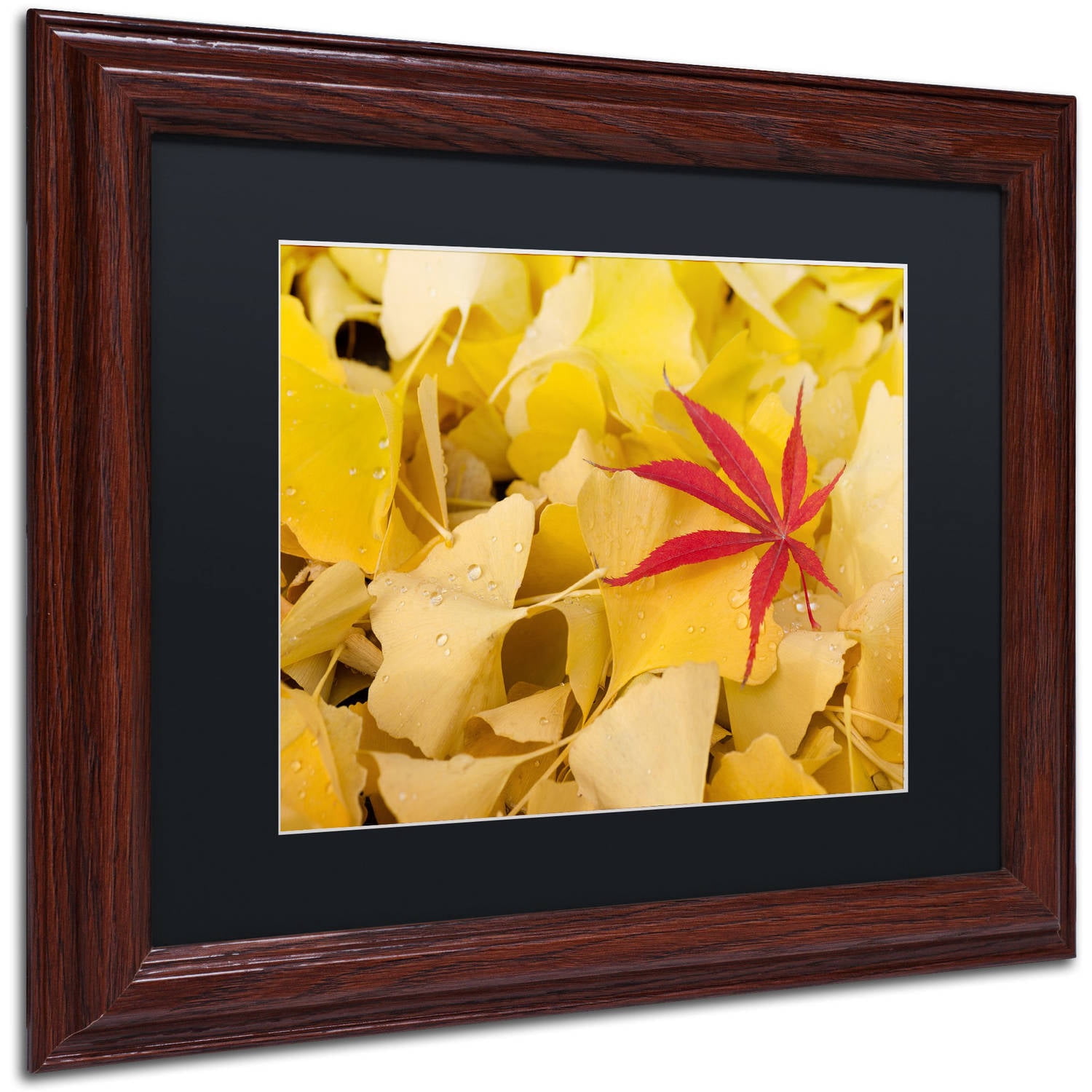 Trademark Fine Art "The Intruder" Canvas Art by Philippe Sainte-Laudy Black Matte, Wood Frame