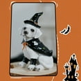 thumbnail image 7 of Sylvtty Halloween Labrador Puppy Statue Resin Witch Dog Figurine with Hat Cape Spooky Pet Sculpture Home Garden Decor, 7 of 7