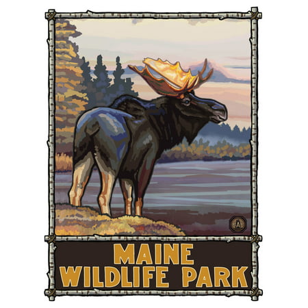 Maine Wildlife Park Moose Travel Art Print Poster by Paul A. Lanquist (9