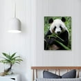 thumbnail image 3 of Nawypu  Canvas Print Wall Art Giant Panda Chewing on Bamboo Shoot Animals Wildlife Photography Modern Art Tropical Scenic Relax/Calm Multicolor Colorful for Living Room, Bedroom, Office -, 3 of 4