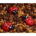 thumbnail image 2 of Moluckfu 100Ud Miniaturas Decorativas De Rojas En Madera Para Macetas Y, 2 of 5