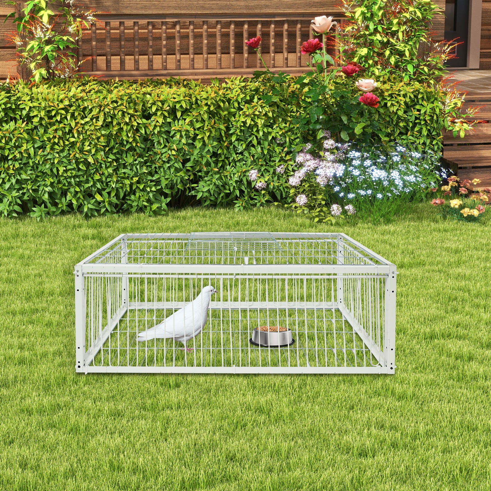 Pigeon Trap Cage, 4‑Way One‑Way Door Escape‑Proof Bird Cage – 0.78" Bar Spacing, Top Skylight – Heavy Duty Iron with Baked Paint – for Pigeons, Doves, Small Birds – Outdoor Use
