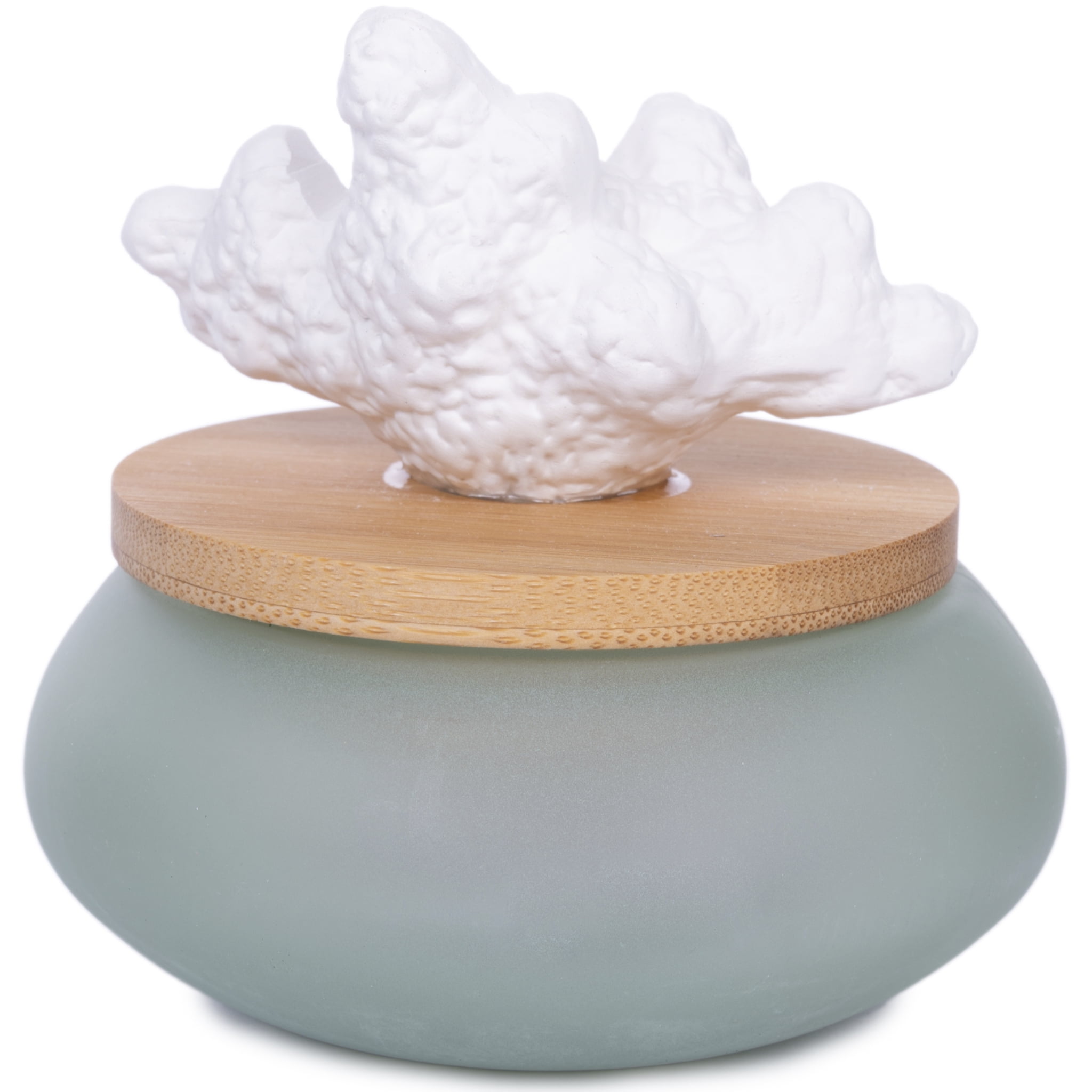 Better Homes & Gardens Wicking Ceramic Diffuser, Sea Glass Coral