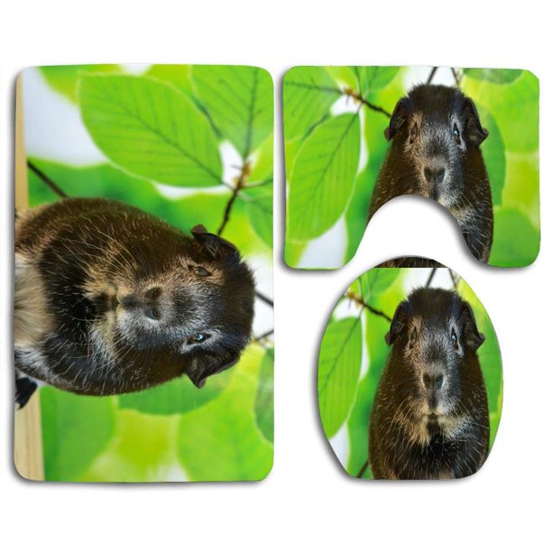 PUDMAD Guinea Pig Spring 3 Piece Bathroom Rugs Set Bath Rug Contour Mat