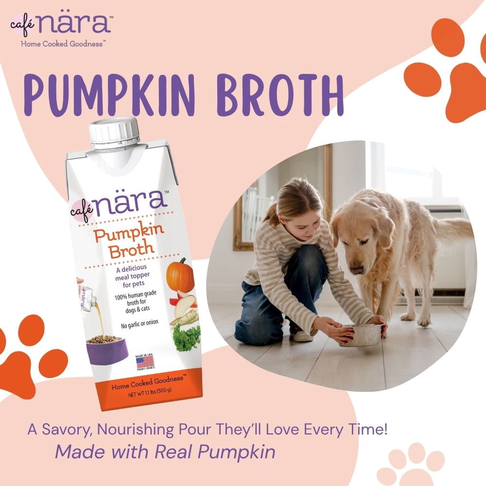 Café Nara Pumpkin Broth Meal Topper for Dogs and Cats - 1.1 lbs. (Pack of 12)