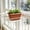 Red, variant on Rectangle Plastic Planter Box, 9.84 Inch Retro Style Window Box for Herbs & Flowers, Indoor Outdoor Pot with Ribbed Design