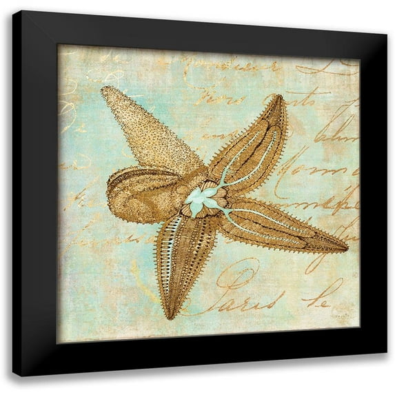 Sophie 6 15x15 Black Modern Framed Museum Art Print Titled - Starfish