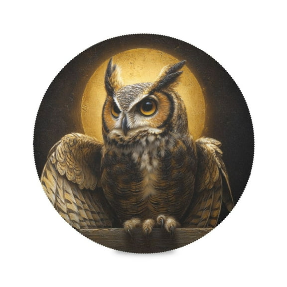 Round Placemats Set of 1 Heat Resistant Washable Kitchen Table Decorations 15.4in Owl under The Moon