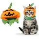 thumbnail image 2 of Methold Disfraz de calabaza de Halloween para gatos Disfraz de calabaza de Halloween para gatos seguro y cómodo Ropa para mascotas, 2 of 6