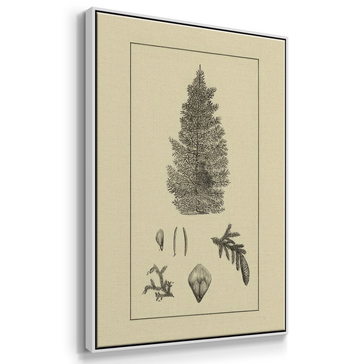 Arbor Study I - Framed Gallery Wrapped Holiday Canvas - 17 x 25 - White Frame