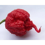 Carolina Reaper Seeds HP22B Pepper Premium Seed Packet Record Hottest in The World