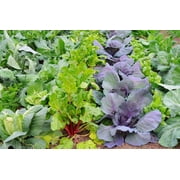 العضوية النبيلة دودة Nw5 5 رطل التربة العضوية صب دودة التربة