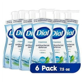 DIAL ANTIMICROBIAL LIQUID HAND SOAP 1 GALLON GOLD per Gallon Walmart