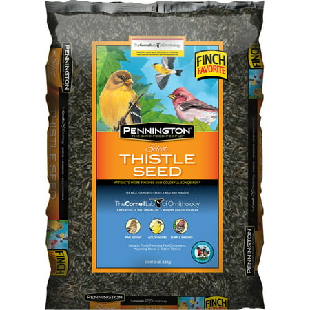 Pennington Select Thistle Wild Bird Seed, 20 lb (Thistle Bird Seed Best Price)