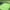 Green, variant on Jienlioq Outdoor Rugs For Patios, Reversible Tropical Plastic Straw Camping Mat Outside Rug, Large Outdoor Area Rug For RV, Porch, Balcony,Essential Camping Gear