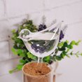 thumbnail image 2 of Clear Plant Watering Bulbs Glass Self-Watering Stake Automatic Irrigation, 2 of 8