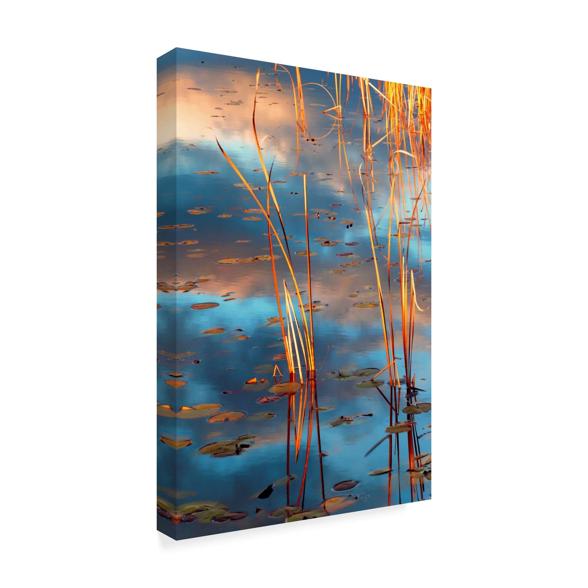 Trademark Fine Art 'Cattails At Dusk' Canvas Art by Anthony Paladino