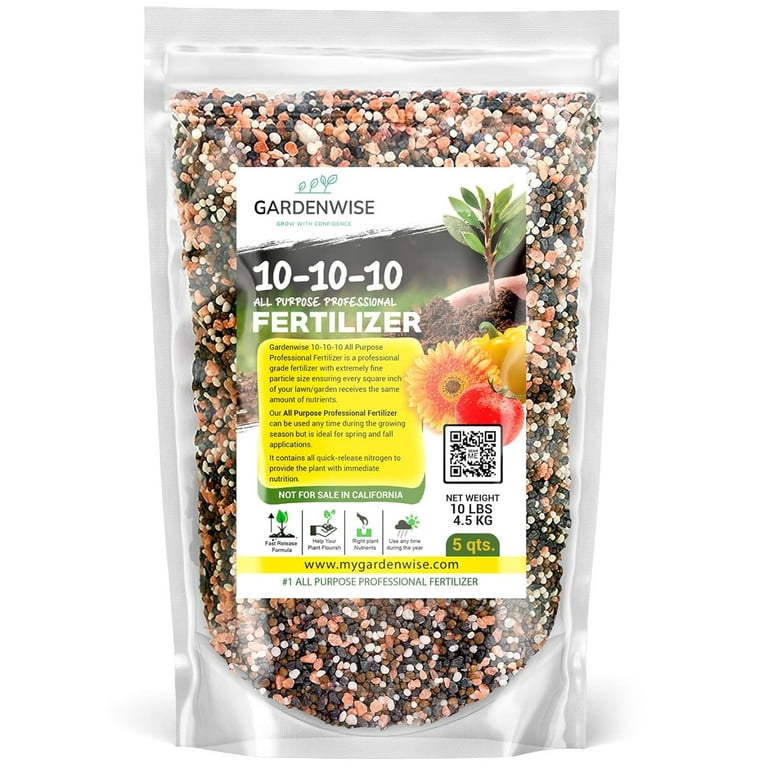 terrarium plants sale Terra Flora Premium Plant Kit  The Bio Dude