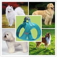 thumbnail image 5 of Arnés para perros pequeños con reflectante antitirones, 5 of 5