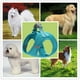 thumbnail image 5 of Arnés para perros pequeños con reflectante antitirones, 5 of 5