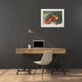 thumbnail image 3 of Rowan, Carol 18x15 White Modern Wood Framed Museum Art Print Titled - Apples and Holly, 3 of 4