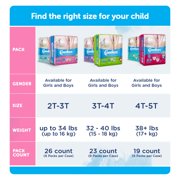 Comfees Training Pants for Girls, DriNite 12-hr Leakage Protection, 4T-5T over 38 lbs, 19 Count, 6 Packs, 114 Total