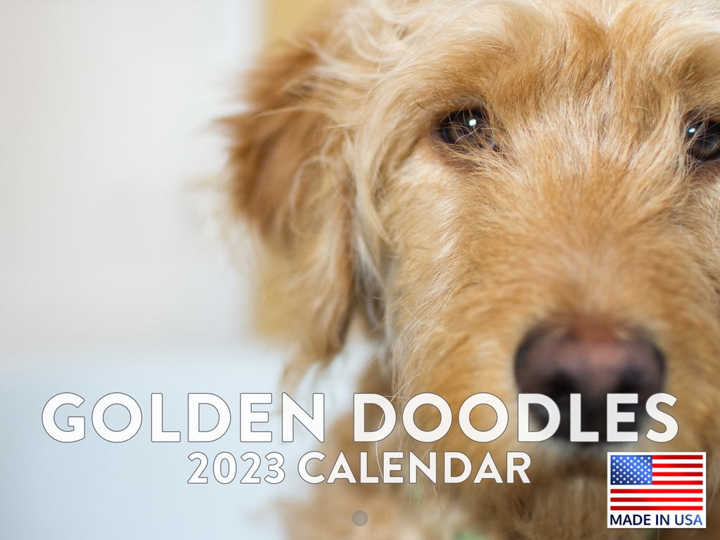 golden-doodle-dog-calendar-2023-monthly-wall-hanging-calendars-cute-pet-puppy-animal-breed-365-daily-large-planner-24-months-full-2023-write-on-grid-plus-bonus-2024-preview-chart-made-in-usa-walmart-com