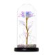 thumbnail image 1 of Xihbxyly Especiales Del Día Rosa de Cristal Romántico y Luz Led para Decoración de Bodas, Regalo de San Valentín, 1 of 1