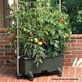 thumbnail image 1 of EarthBox 80151 Garden Kit, Organic, Green, 1 of 5