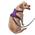 thumbnail image 2 of Balery Glitter Purple Arnés para Perros Grandes Antitirones, Arnés con Correa para Gato, Arnés Tipo Chaleco para Perros Pequeños-Large, 2 of 6