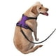 thumbnail image 2 of Fotbe Glitter Purple Arnés para Perro con Estampado –Chaleco Ajustable Acolchado con Asa de Control para Perros Grandes-Large, 2 of 6