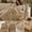 🌻 Khaki#20, variant on Throw Blanket Ribbed Striped Plush 47x83 Inches Washable for Couch Sofa Bed