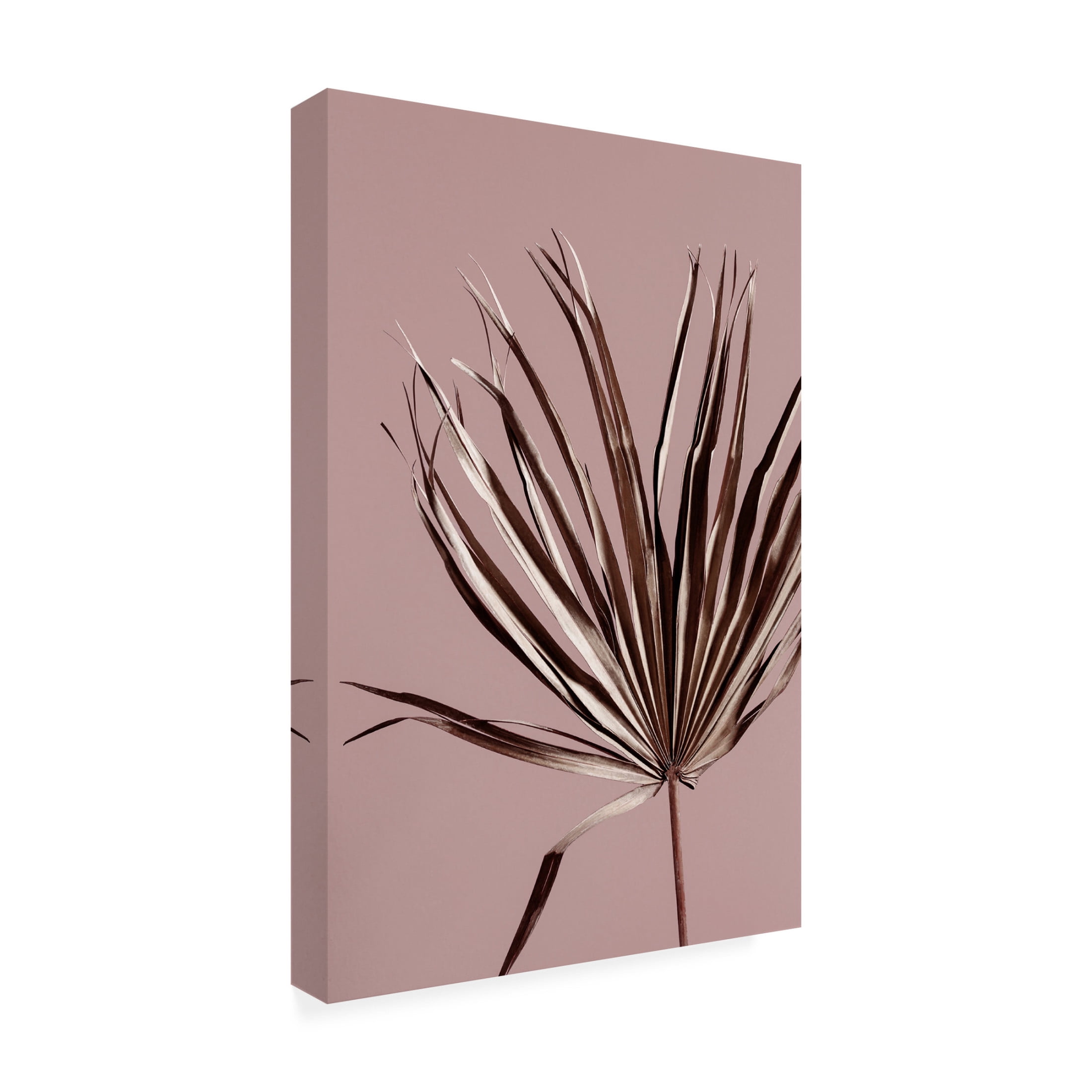 Trademark Fine Art Mareike Bohmer Last Summer 19X Canvas Wall Art