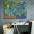 thumbnail image 5 of Epic Graffiti 'Irises' by Vincent van Gogh, Canvas Wall Art, 34"x26", 5 of 8