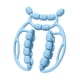 thumbnail image 5 of Rodillo de masaje de piernas Relax Roller de 20 ruedas Masaje relajante versátil Masaje manual azul, 5 of 8