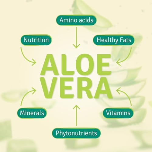 Aloe Life Aloe Life  Aloe Vera Juice Concentrate, 32 oz