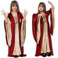 thumbnail image 1 of SUNSIOM Medieval Costume for Girls Long Sleeve Renaissance Dress Halloween Princess Cosplay Outfits, 1 of 6