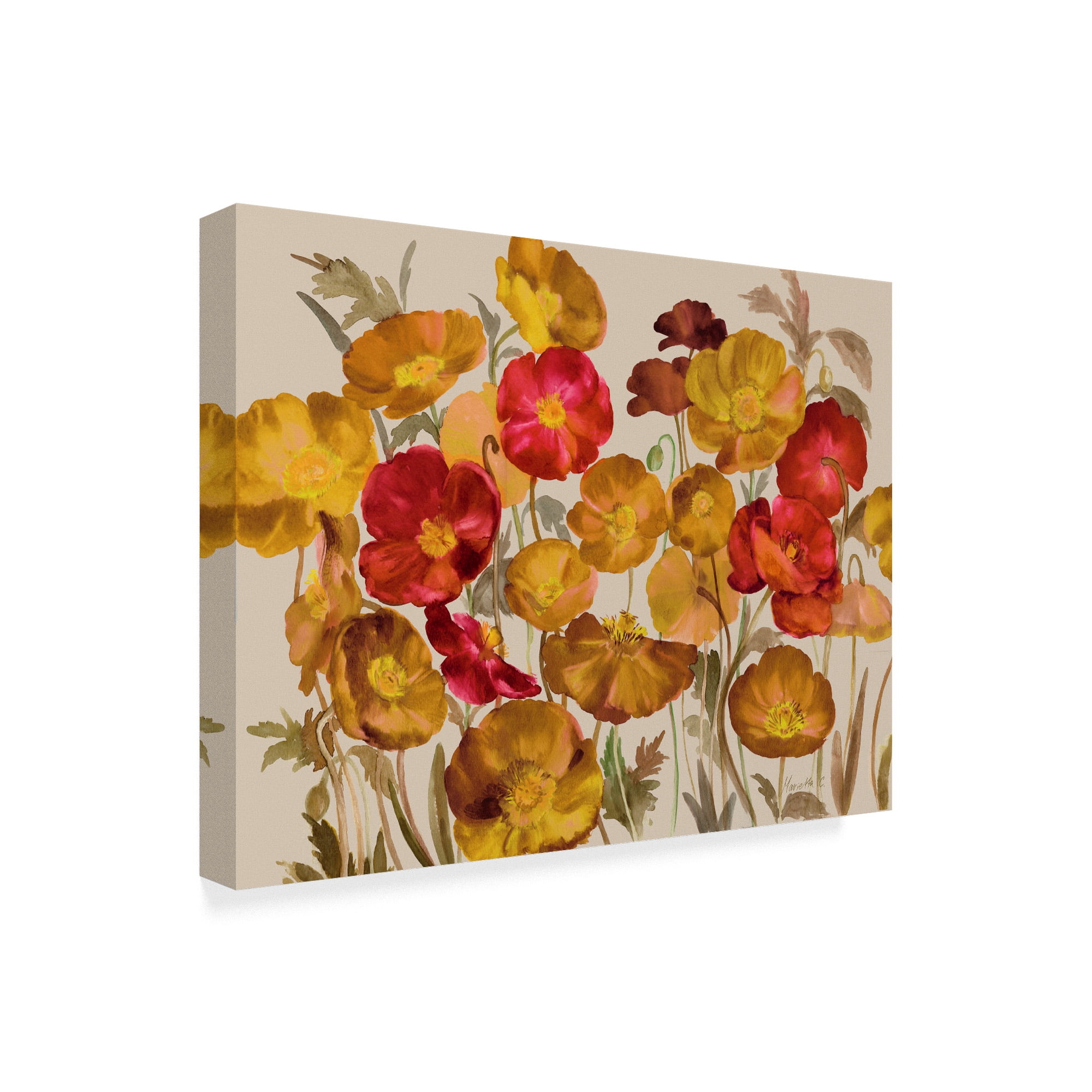 Trademark Fine Art 'Yellow And Red Poppies' Canvas Art by Marietta Cohen Art And Design