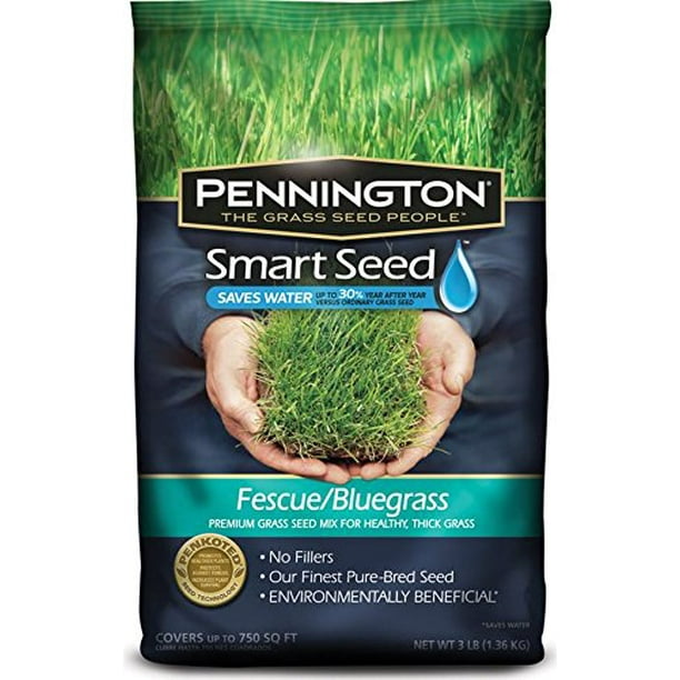 Pennington Smart Seed Fescue/Bluegrass Mix, 3 lb