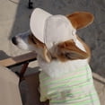 thumbnail image 4 of HQREA Puppy Hats with Ear Hole Adjustable Kitten Sun Visor Cap for Outdoor Sport, 4 of 5
