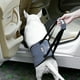 thumbnail image 3 of Soporte de elevación para perros, arnés de soporte para elevación de mascotas, arnés para heridas, arnés auxiliar para perros, diseñado para profesionales, 3 of 9