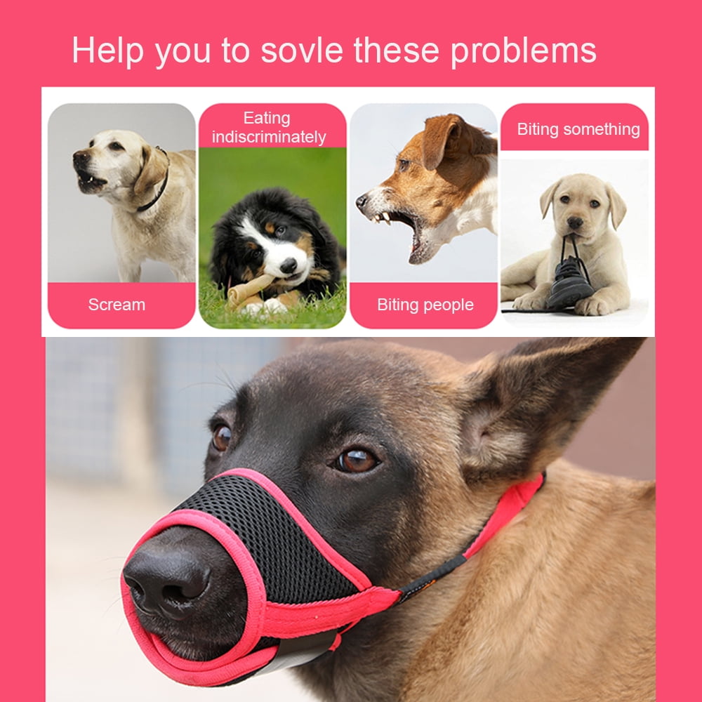Dog muzzle for maltese 2025