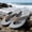 Gray, variant on Summer Essential Men's Quick-Dry Flip Flops, Non-Slip Comfortable EVA Sandals for Beach, Shower & Indoor Outdoor