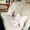White, variant on 2 Pcs Plush Bow Pillows Set, Cute Bowknot Throw Pillows for Couch & Bed - Soft Furry Decorative Accent Pillows for Living Room, Bedroom, Home & Car Decor